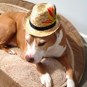 Doggie Straw Hat